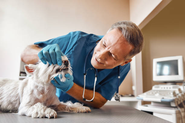 Best Emergency Tooth Extraction in Oshkosh, WI
